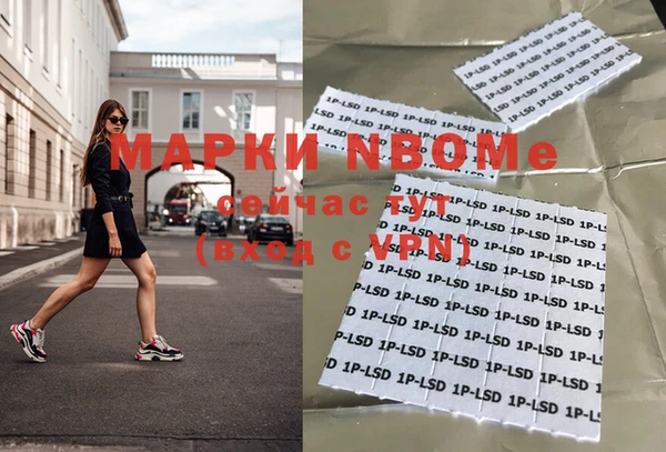 крисы Верхний Тагил