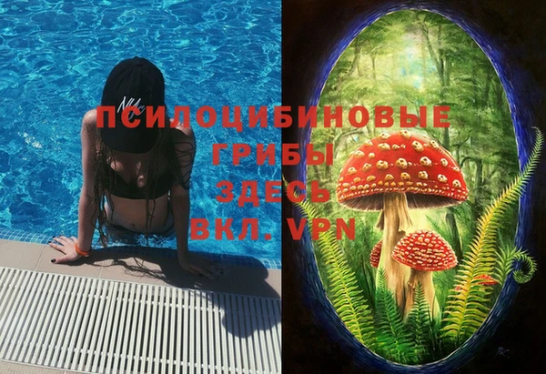 мяу мяу мука Бородино