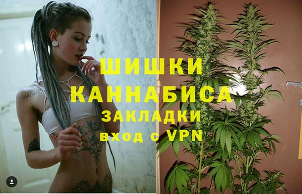 сатива Верхнеуральск