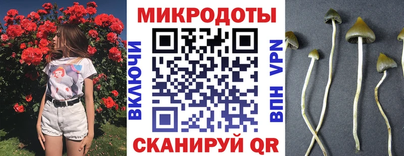 Псилоцибиновые грибы мухоморы Таганрог