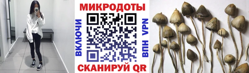 Псилоцибиновые грибы GOLDEN TEACHER  Таганрог 